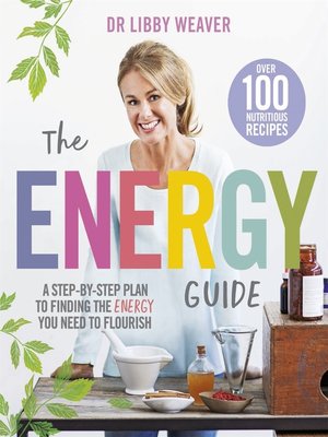 cover image of The Energy Guide